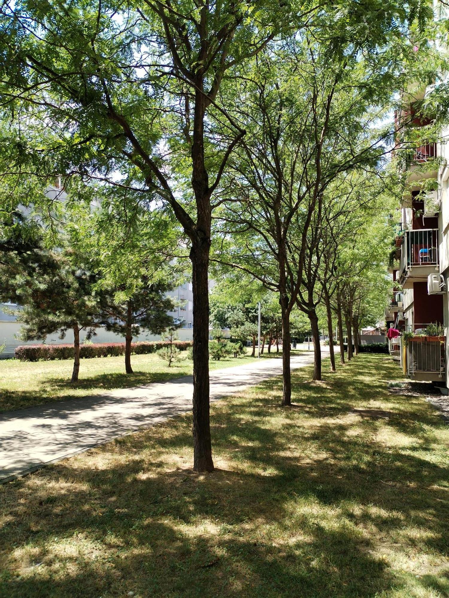 Apartman Ivana ซาเกร็บ ภายนอก รูปภาพ